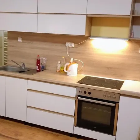 Ticha Priestranna Garsonka V Centre Mesta 公寓 *